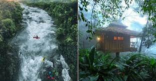 Kerala tree house